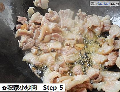 农家小炒肉做法第五步骤