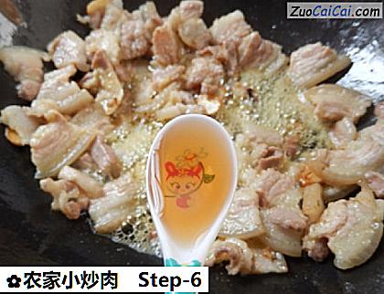 农家小炒肉做法第六步骤