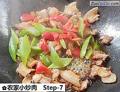 农家小炒肉做法第七步骤