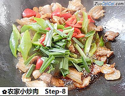农家小炒肉做法第八步骤