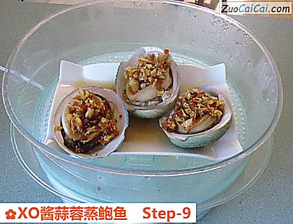XO酱蒜蓉蒸鲍鱼做法第九步骤