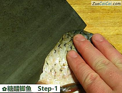 糖醋鲫鱼做法第一步骤
