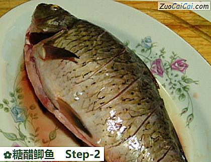 糖醋鲫鱼做法第二步骤