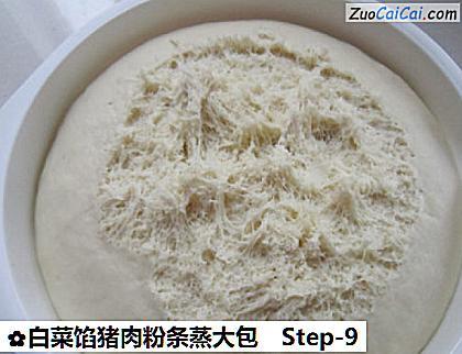 白菜馅猪肉粉条蒸大包做法第九步骤