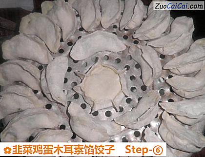 韭菜鸡蛋木耳素馅饺子做法第六步骤