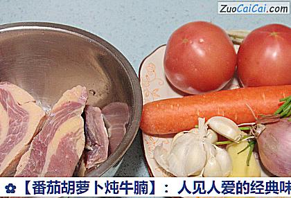 番茄胡萝卜炖牛腩做法第一步骤