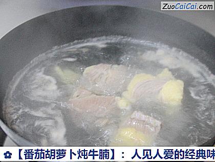 番茄胡萝卜炖牛腩做法第五步骤