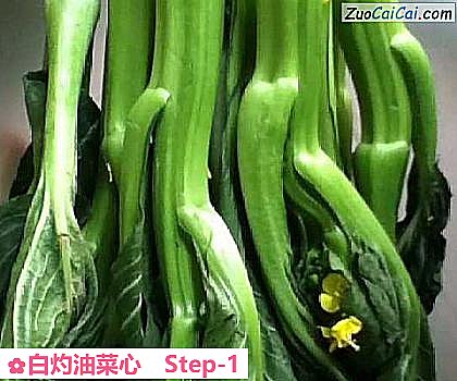 白灼油菜心做法第一步骤