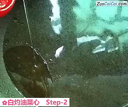 白灼油菜心做法第二步骤