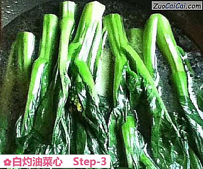 白灼油菜心做法第三步骤