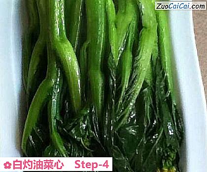 白灼油菜心做法第四步骤