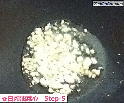 白灼油菜心做法第五步骤