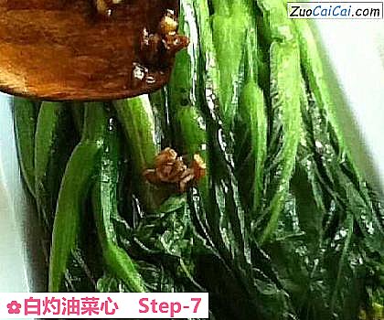 白灼油菜心做法第七步骤