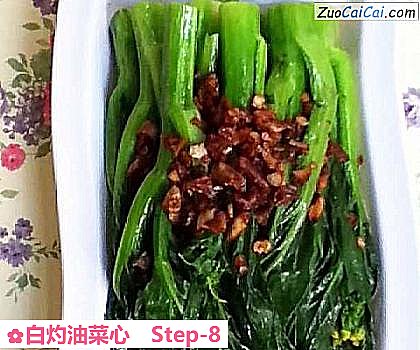 白灼油菜心做法第八步骤