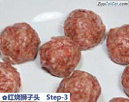 红烧狮子头做法第三步骤