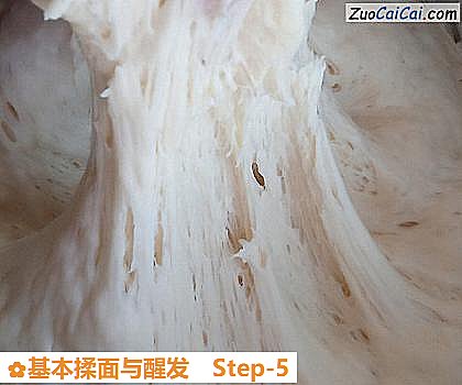 基本揉面与醒发做法第五步骤
