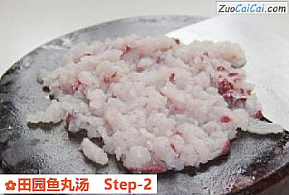 田园鱼丸汤做法第二步骤