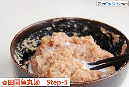 田园鱼丸汤做法第五步骤