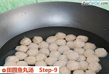 田园鱼丸汤做法第九步骤