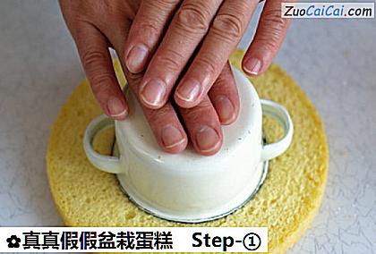 真真假假盆栽蛋糕做法第一步骤