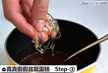 真真假假盆栽蛋糕做法第三步骤