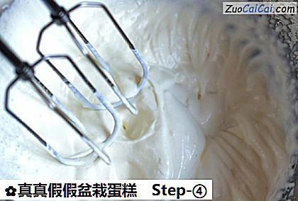 真真假假盆栽蛋糕做法第四步骤