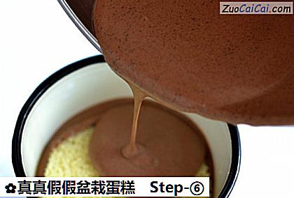 真真假假盆栽蛋糕做法第六步骤