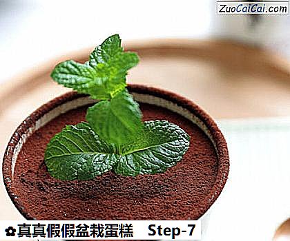 真真假假盆栽蛋糕做法第七步骤