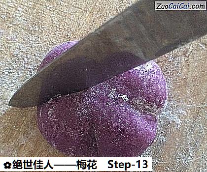 梅花做法第十三步骤