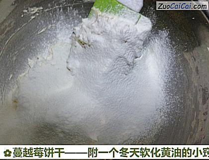 蔓越莓饼干做法第五步骤