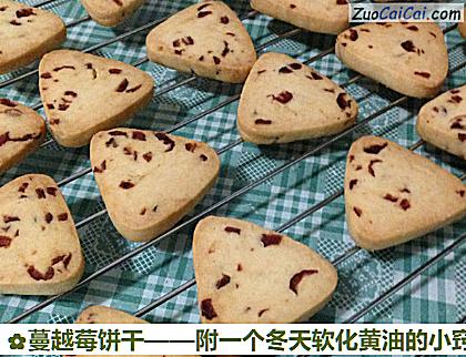 蔓越莓饼干做法第九步骤