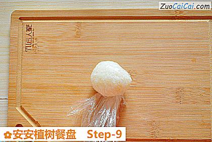 安安植树餐盘做法第九步骤