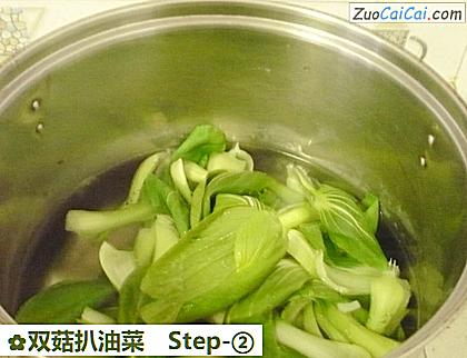 双菇扒油菜做法第二步骤