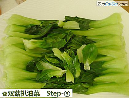 双菇扒油菜做法第三步骤