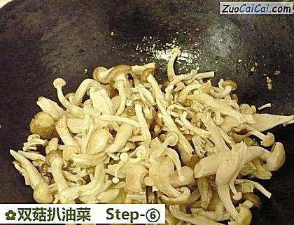 双菇扒油菜做法第六步骤