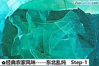 经典农家风味－东北乱炖做法第一步骤