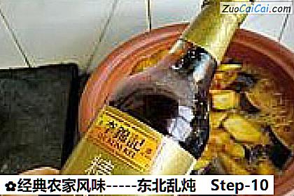 经典农家风味－东北乱炖做法第十步骤