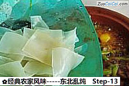 经典农家风味－东北乱炖做法第十三步骤