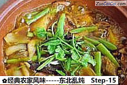 经典农家风味－东北乱炖做法第十五步骤