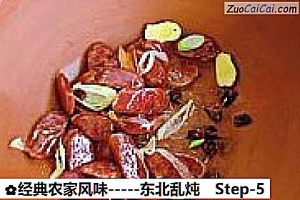 经典农家风味－东北乱炖做法第五步骤