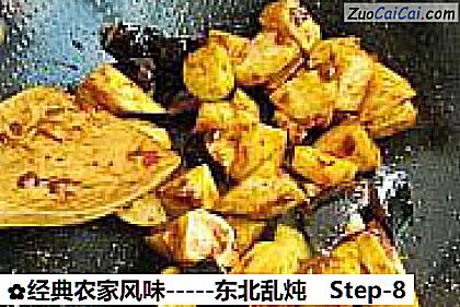 经典农家风味－东北乱炖做法第八步骤
