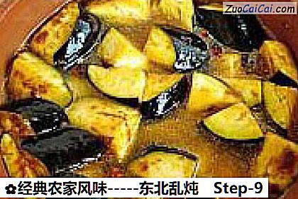 经典农家风味－东北乱炖做法第九步骤