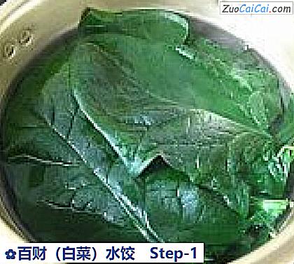 百财(白菜)水饺做法第一步骤