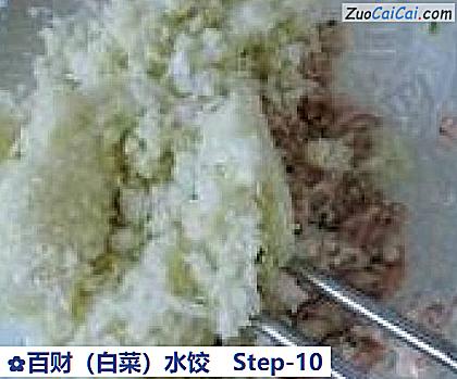 百财(白菜)水饺做法第十步骤