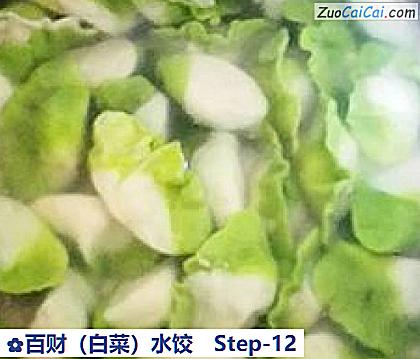 百财(白菜)水饺做法第十二步骤