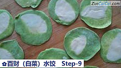 百财(白菜)水饺做法第九步骤