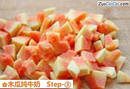木瓜炖牛奶做法第三步骤