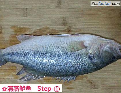 清蒸鲈鱼做法第一步骤
