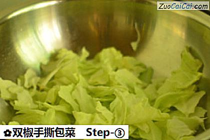双椒手撕包菜做法第三步骤
