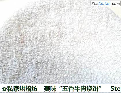 美味“五香牛肉烧饼”做法第三步骤